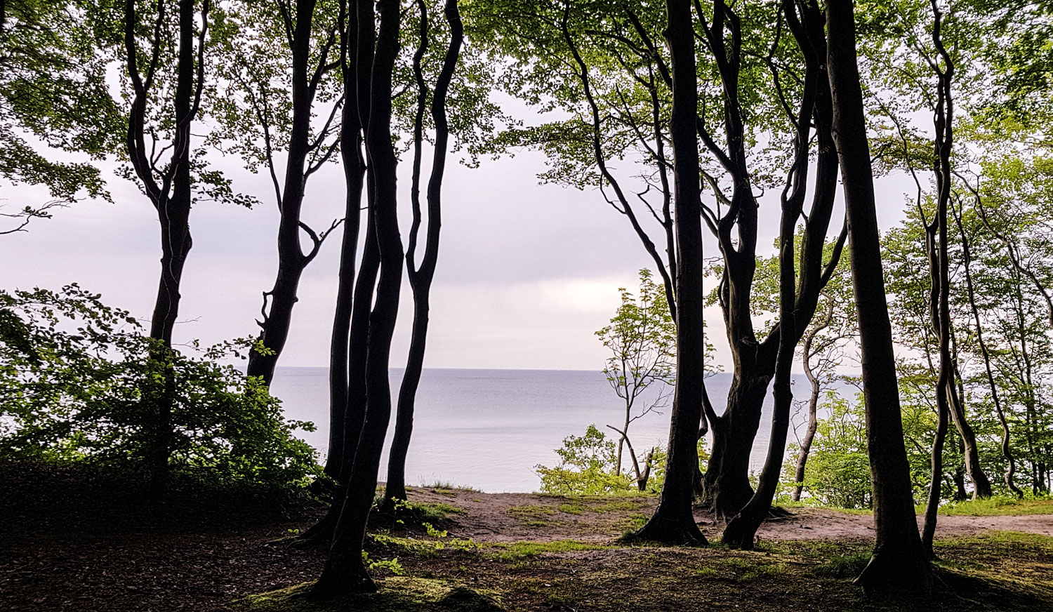 Geheimtipp Schwedeneck Wanderung Durchs Hugelland Am Ostseestrand Linie 5