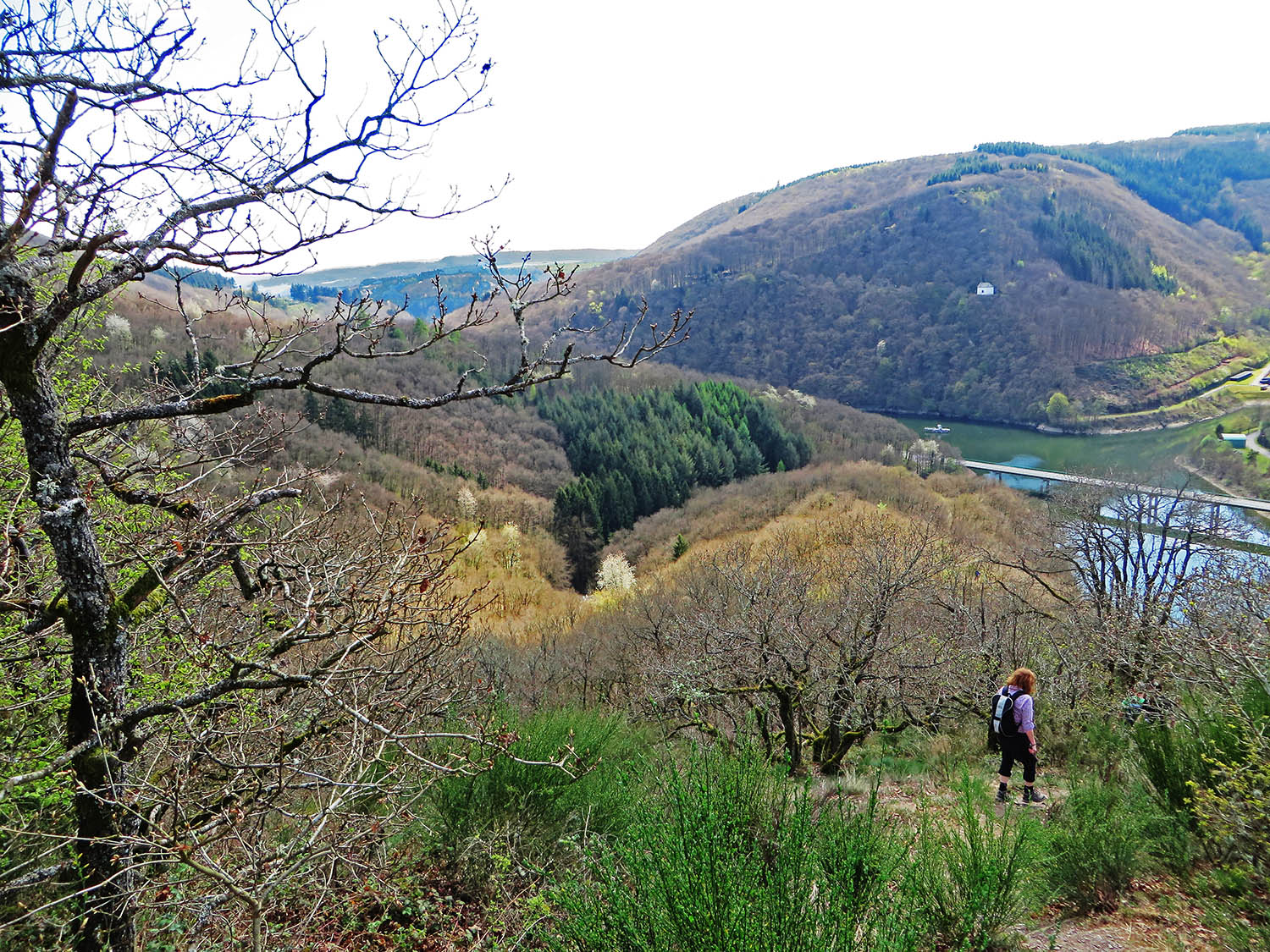 Fast schon wie im Gebirge Die Nat'Our Route 5 bei Vianden