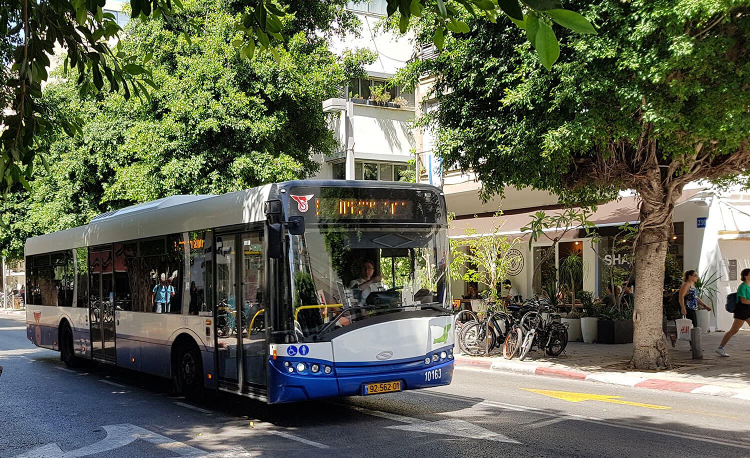 Bus fahren in Tel Aviv so geht´s Linie 5